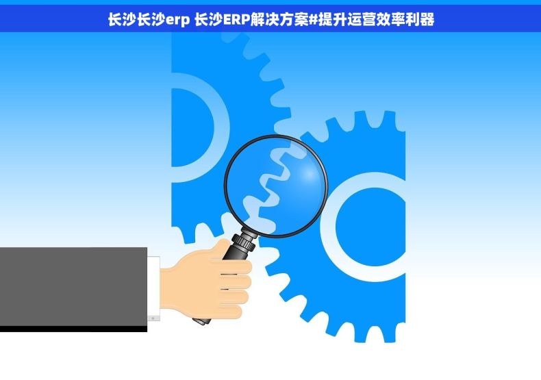 长沙长沙erp 长沙ERP解决方案#提升运营效率利器