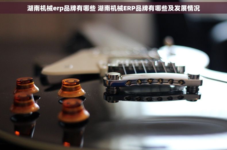 湖南机械erp品牌有哪些 湖南机械ERP品牌有哪些及发展情况