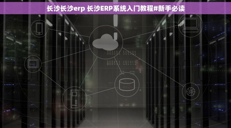 长沙长沙erp 长沙ERP系统入门教程#新手必读