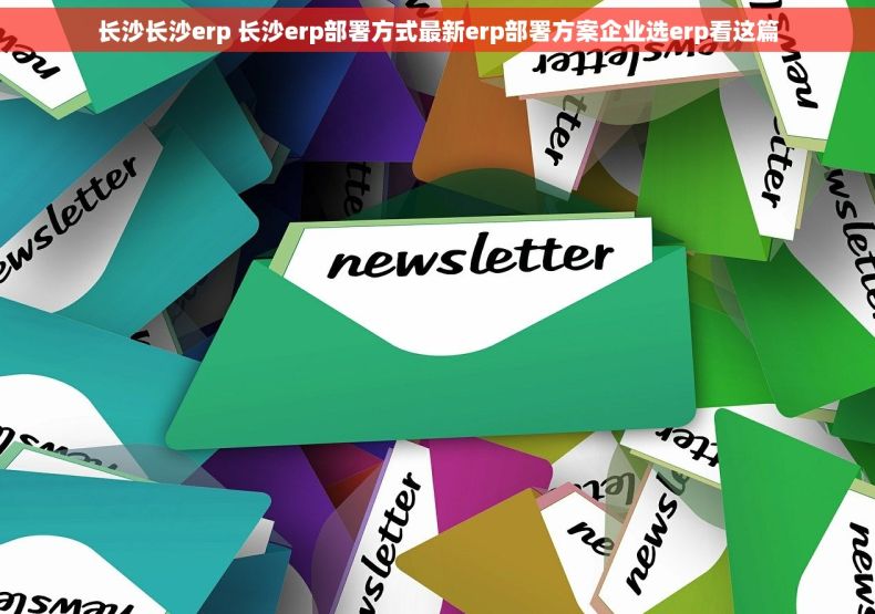 长沙长沙erp 长沙erp部署方式最新erp部署方案企业选erp看这篇