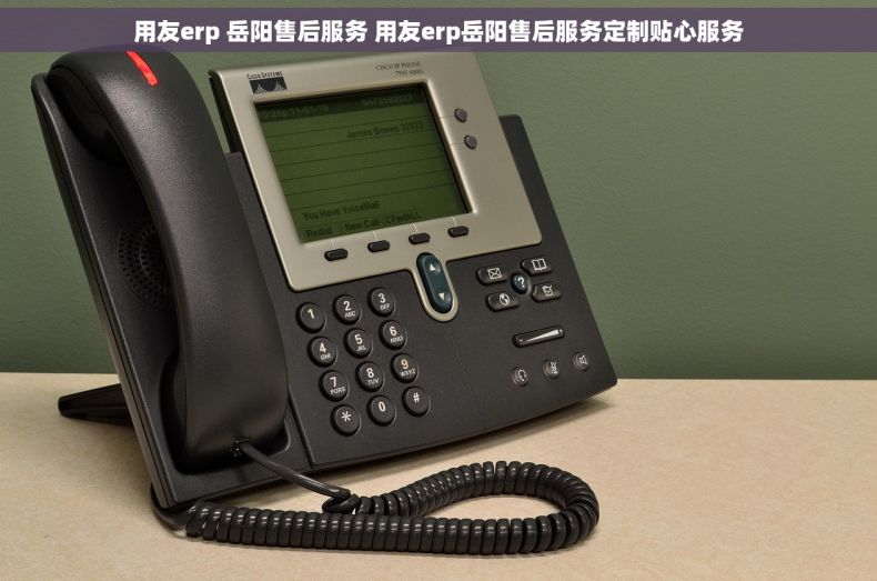 用友erp 岳阳售后服务 用友erp岳阳售后服务定制贴心服务