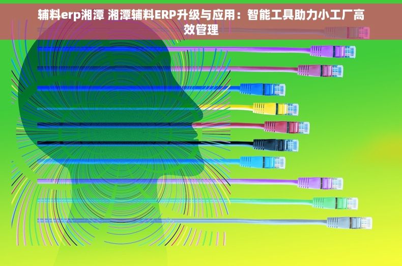 辅料erp湘潭 湘潭辅料ERP升级与应用：智能工具助力小工厂高效管理