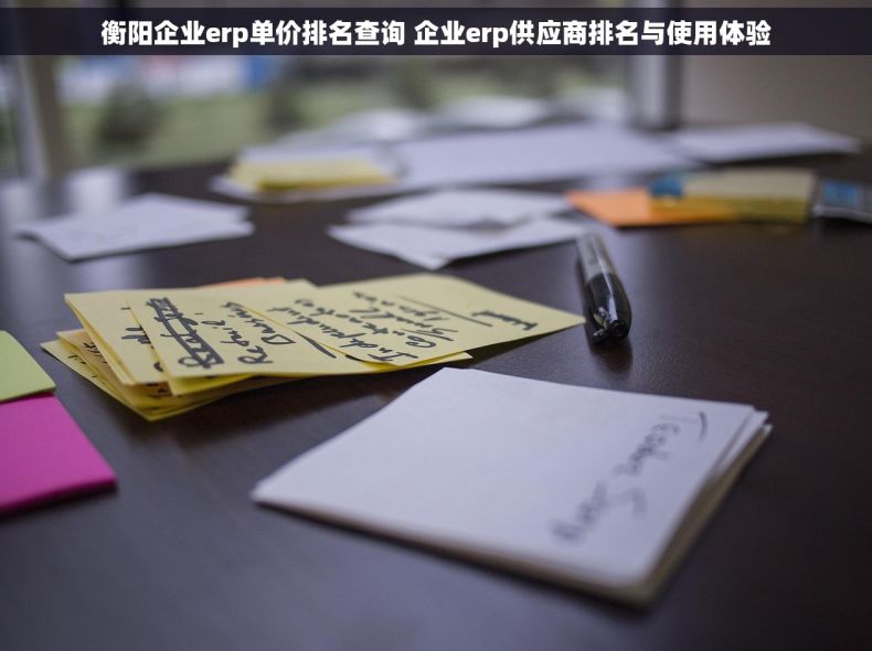 衡阳企业erp单价排名查询 企业erp供应商排名与使用体验