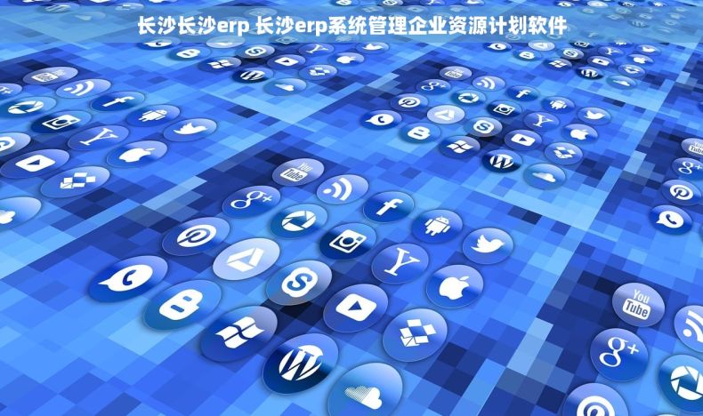 长沙长沙erp 长沙erp系统管理企业资源计划软件