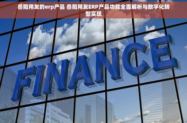 岳阳用友的erp产品 岳阳用友ERP产品功能全面解析与数字化转型实现