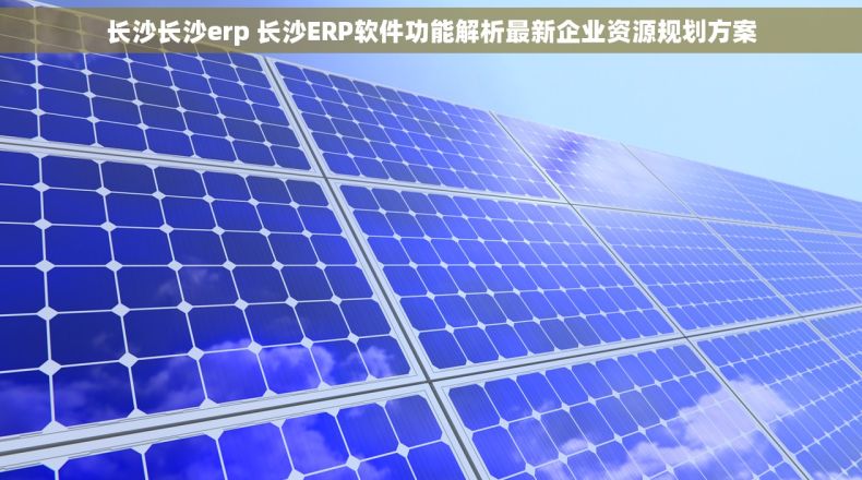 长沙长沙erp 长沙ERP软件功能解析最新企业资源规划方案