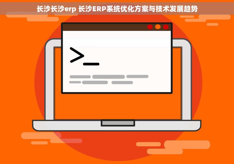 长沙长沙erp 长沙ERP系统优化方案与技术发展趋势