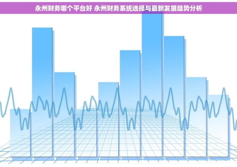 永州财务哪个平台好 永州财务系统选择与最新发展趋势分析