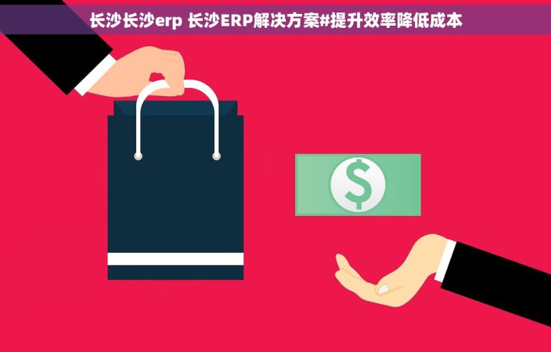 长沙长沙erp 长沙ERP解决方案#提升效率降低成本