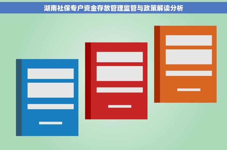 湖南社保专户资金存放管理监管与政策解读分析