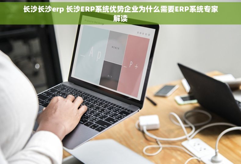 长沙长沙erp 长沙ERP系统优势企业为什么需要ERP系统专家解读