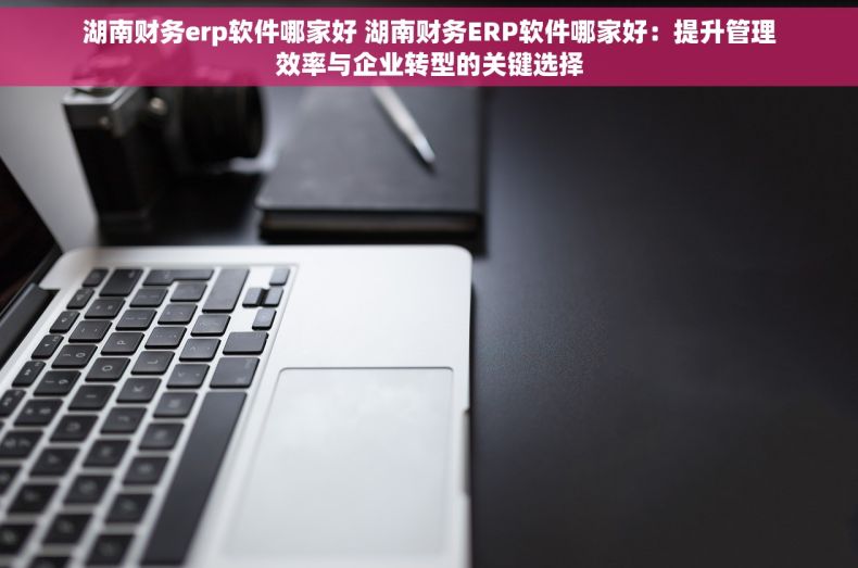 湖南财务erp软件哪家好 湖南财务ERP软件哪家好：提升管理效率与企业转型的关键选择