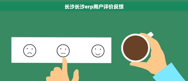 长沙长沙erp用户评价反馈