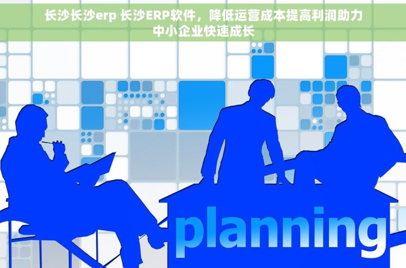 长沙长沙erp 长沙ERP软件，降低运营成本提高利润助力中小企业快速成长