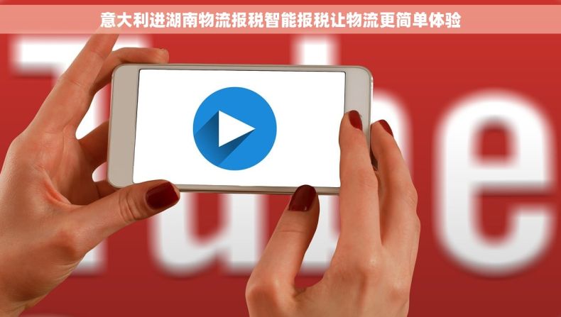 意大利进湖南物流报税智能报税让物流更简单体验