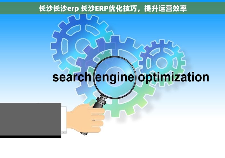 长沙长沙erp 长沙ERP优化技巧，提升运营效率