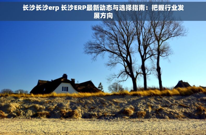 长沙长沙erp 长沙ERP最新动态与选择指南：把握行业发展方向