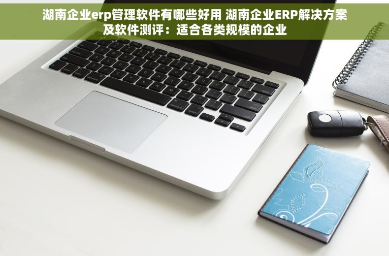 湖南企业erp管理软件有哪些好用 湖南企业ERP解决方案及软件测评：适合各类规模的企业