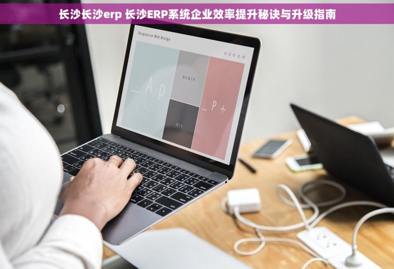 长沙长沙erp 长沙ERP系统企业效率提升秘诀与升级指南