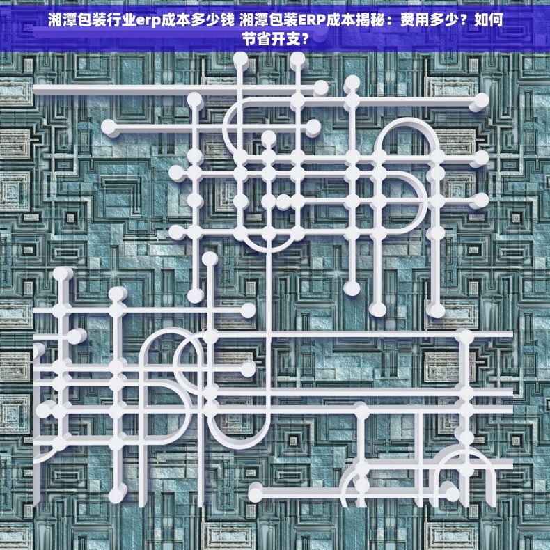 湘潭包装行业erp成本多少钱 湘潭包装ERP成本揭秘：费用多少？如何节省开支？
