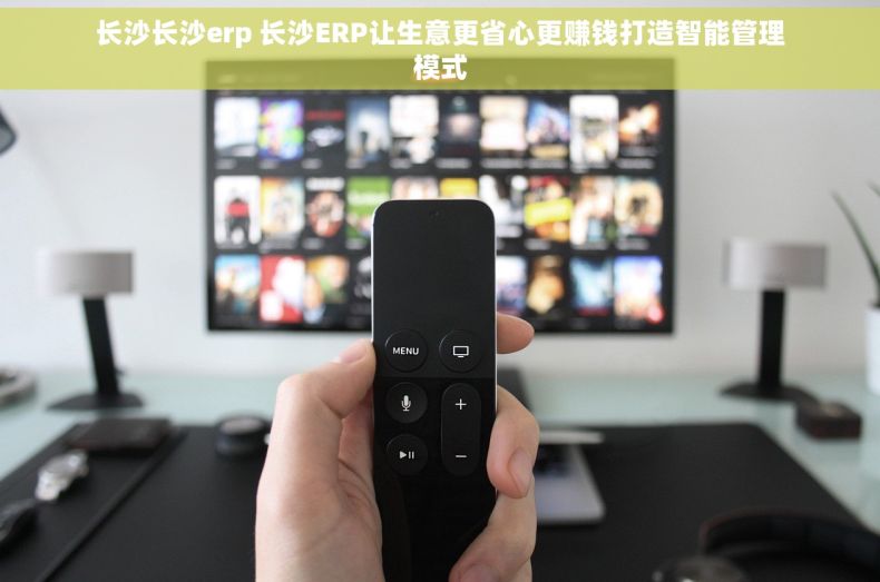 长沙长沙erp 长沙ERP让生意更省心更赚钱打造智能管理模式