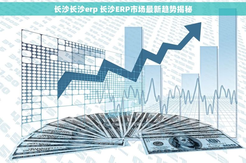 长沙长沙erp 长沙ERP市场最新趋势揭秘