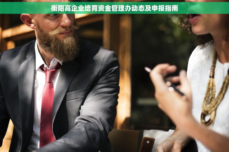 衡阳高企业培育资金管理办动态及申报指南