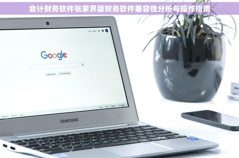 会计财务软件张家界版财务软件兼容性分析与操作指南