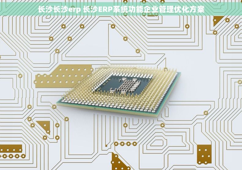 长沙长沙erp 长沙ERP系统功能企业管理优化方案