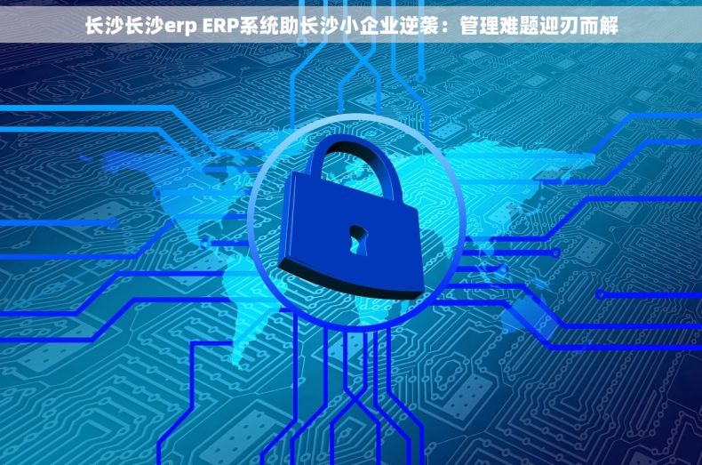 长沙长沙erp ERP系统助长沙小企业逆袭：管理难题迎刃而解
