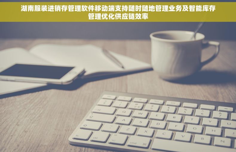 湖南服装进销存管理软件移动端支持随时随地管理业务及智能库存管理优化供应链效率