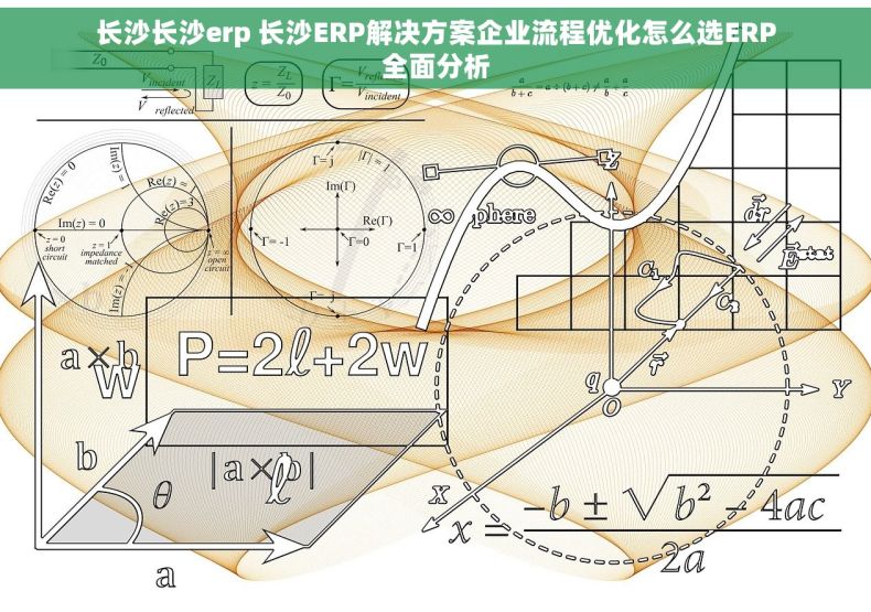 长沙长沙erp 长沙ERP解决方案企业流程优化怎么选ERP全面分析