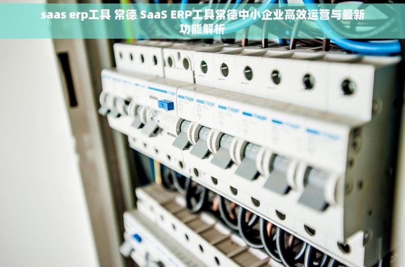 saas erp工具 常德 SaaS ERP工具常德中小企业高效运营与最新功能解析