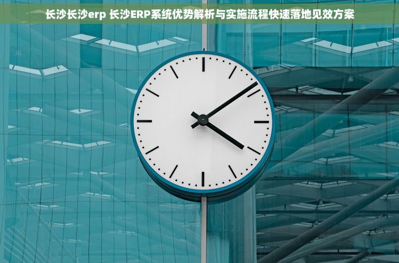 长沙长沙erp 长沙ERP系统优势解析与实施流程快速落地见效方案