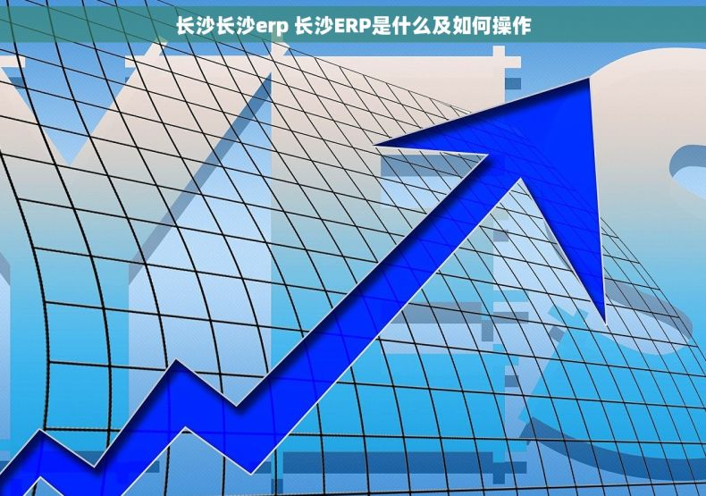 长沙长沙erp 长沙ERP是什么及如何操作