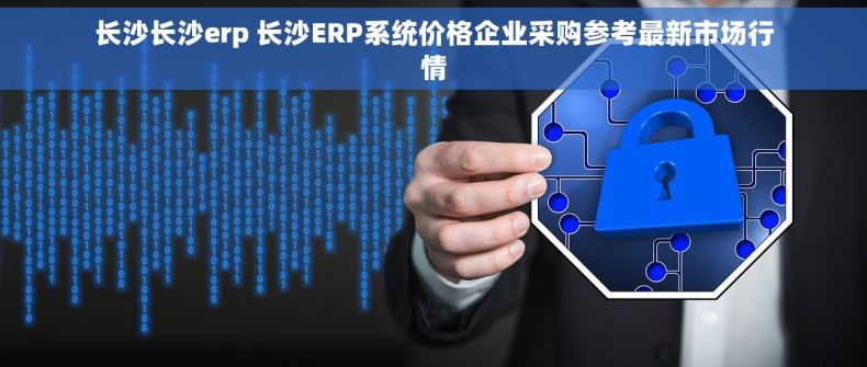 长沙长沙erp 长沙ERP系统价格企业采购参考最新市场行情