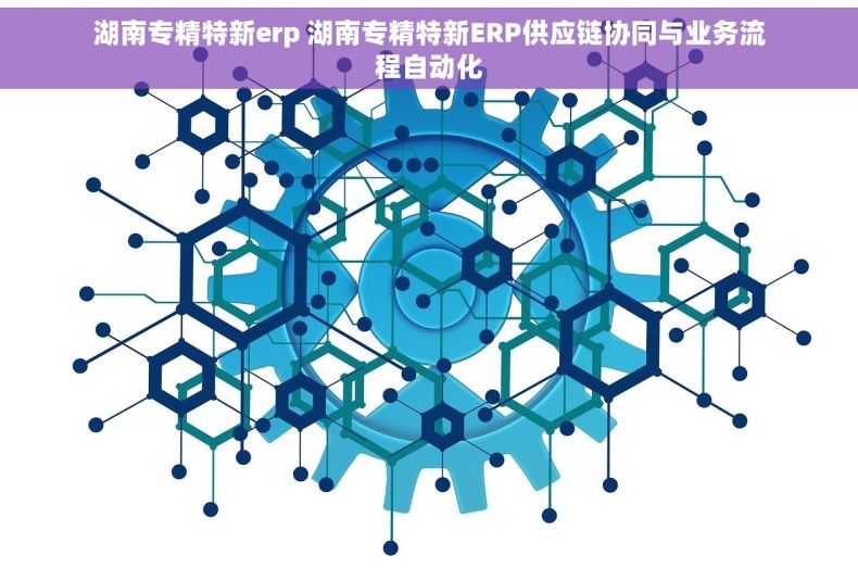 湖南专精特新erp 湖南专精特新ERP供应链协同与业务流程自动化