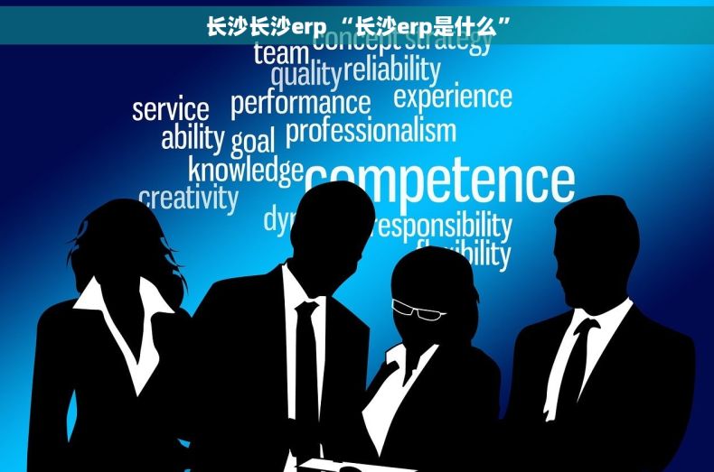 长沙长沙erp “长沙erp是什么”