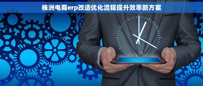 株洲电商erp改造优化流程提升效率新方案