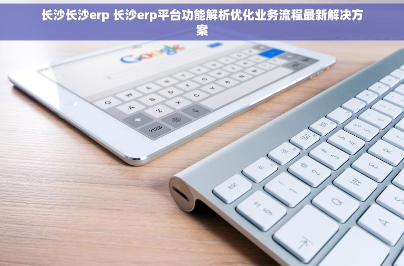 长沙长沙erp 长沙erp平台功能解析优化业务流程最新解决方案