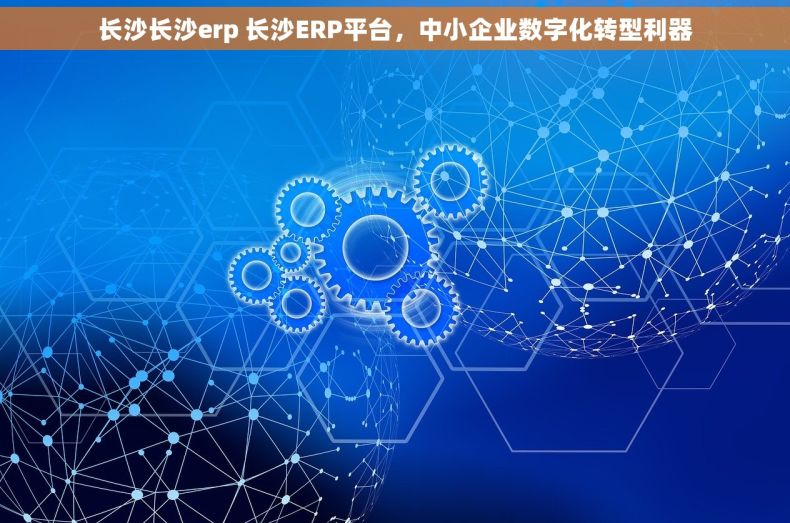 长沙长沙erp 长沙ERP平台，中小企业数字化转型利器