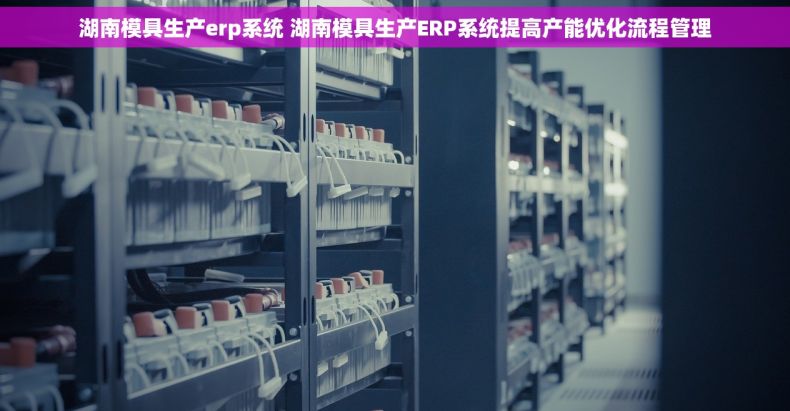 湖南模具生产erp系统 湖南模具生产ERP系统提高产能优化流程管理