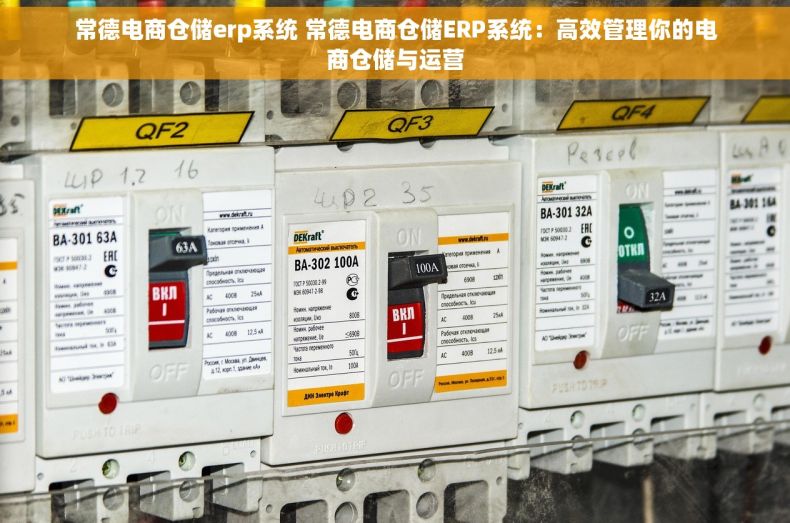 常德电商仓储erp系统 常德电商仓储ERP系统：高效管理你的电商仓储与运营