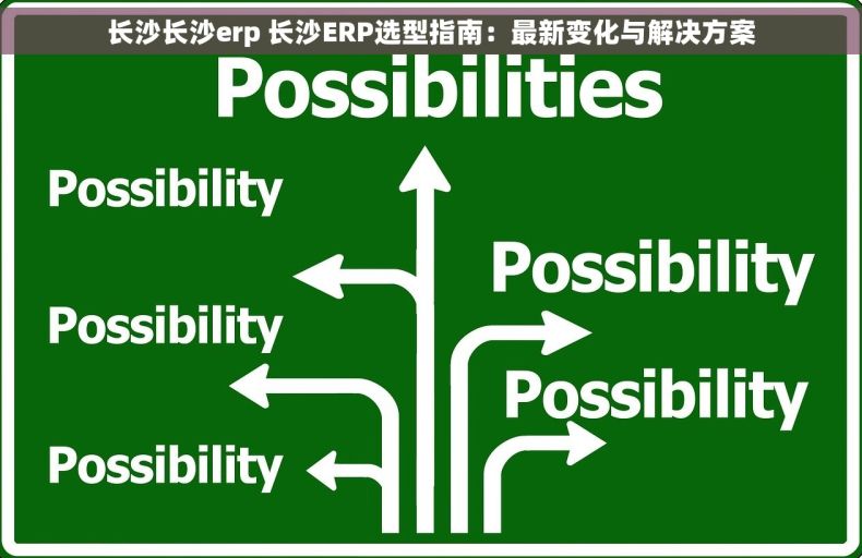 长沙长沙erp 长沙ERP选型指南：最新变化与解决方案