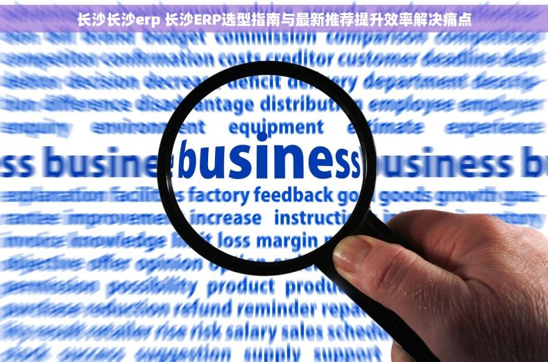 长沙长沙erp 长沙ERP选型指南与最新推荐提升效率解决痛点