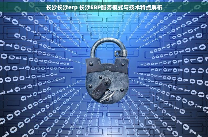 长沙长沙erp 长沙ERP服务模式与技术特点解析