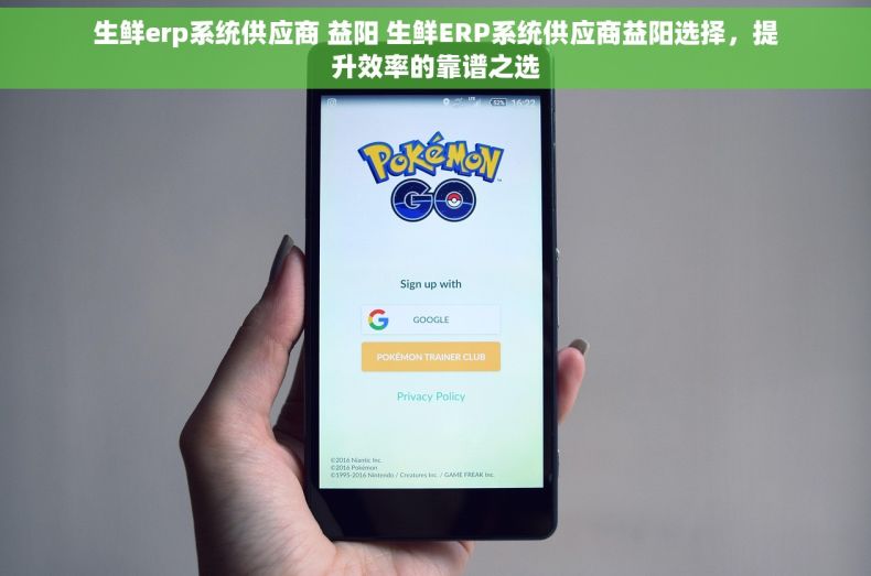 生鲜erp系统供应商 益阳 生鲜ERP系统供应商益阳选择，提升效率的靠谱之选