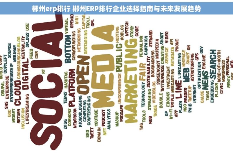 郴州erp排行 郴州ERP排行企业选择指南与未来发展趋势