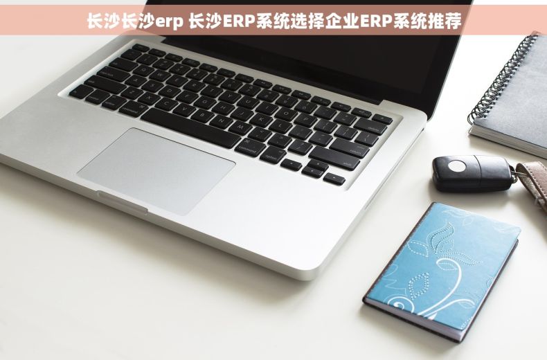 长沙长沙erp 长沙ERP系统选择企业ERP系统推荐