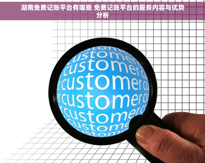 湖南免费记账平台有哪些 免费记账平台的服务内容与优势分析